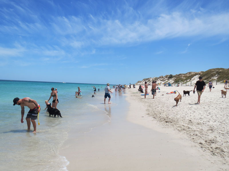 City of Joondalup - Hillarys Animal Exercise Area